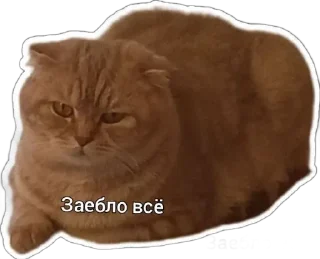 Sticker from Пушистые письки