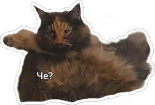 Sticker from Пушистые письки