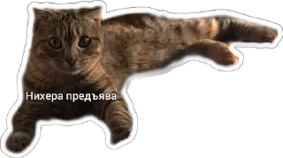 Sticker from Пушистые письки