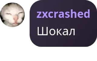 Sticker from Z-Team | Chat pack by @QuotLyBot
