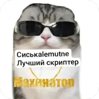 🌟 emoji Z-Team | Chat pack by @QuotLyBot Telegram sticker 22 of 118