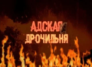 Sticker from wmalevadelay