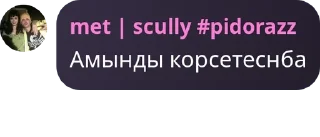 👩‍🦼 emoji антивумен банда. pack by @QuotLyBot Telegram sticker 19 of 120