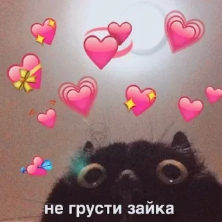 🩰 emoji Стикерочки: @Nerven_ru Telegram sticker 5 of 24