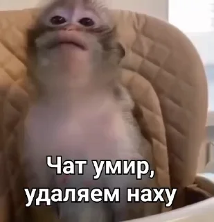 🤩 emoji Стикерочки @starfellyy @TgEmodziBot Telegram sticker 1 of 43