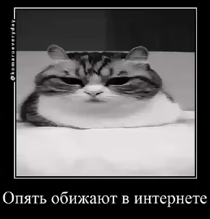 🤩 emoji Стикерочки @starfellyy @TgEmodziBot Telegram sticker 9 of 43