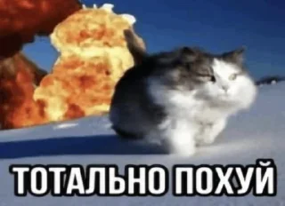 🤩 emoji Стикерочки @starfellyy @TgEmodziBot Telegram sticker 17 of 43