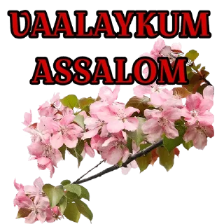 Sticker from @nigorim_academy @Abdukomilovna