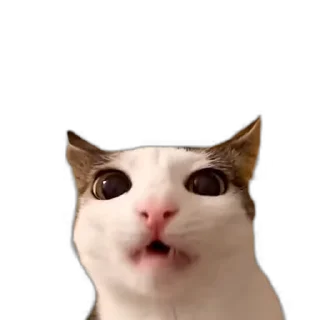 😋 emoji котаки Telegram sticker 14 of 36