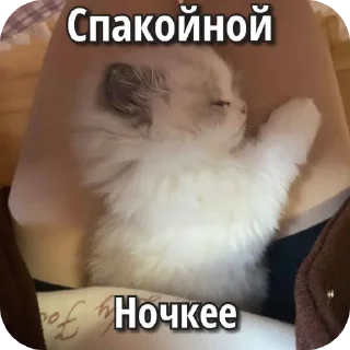 Sticker from Котаки