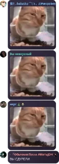 🌟 emoji Стиуеры для про роел хай 🍓🤏💪💪 by @QuotLyBot Telegram sticker 18 of 120