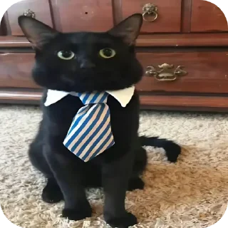 👍 emoji Сверхъестественное Telegram sticker 21 of 21