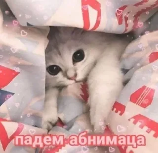 Sticker from Нюдсы души @nughope