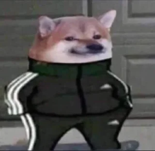 Sticker from Memes