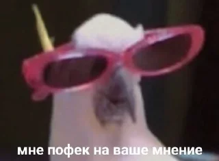 Sticker from Попугай в здании
