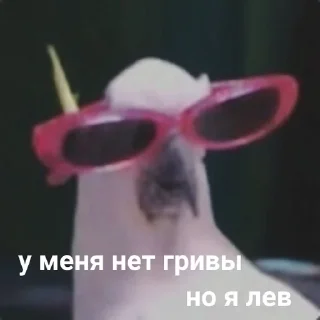 Sticker from Попугай в здании