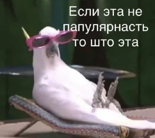 Sticker from Попугай в здании