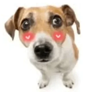 Sticker from собаки багамотовские