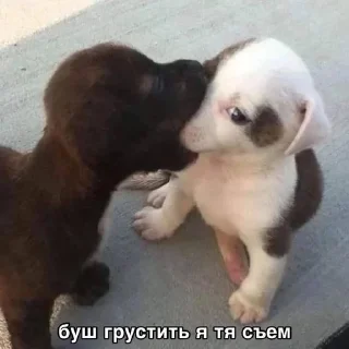 мяу sticker 1