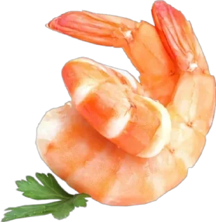🍤 emoji Больше стикеров → @funny_stickerss Telegram sticker 13 of 88