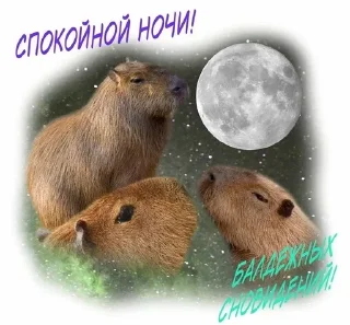 Sticker from Комфортик