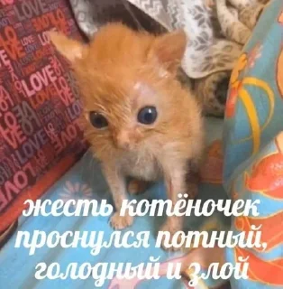 Sticker from пидорас