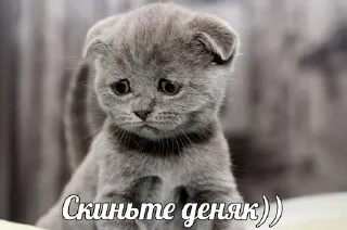 Sticker from пидорас