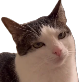 😑 emoji Больше стикеров тут @stickers_memy Telegram sticker 9 of 14