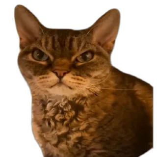 😡 emoji Больше стикеров тут @stickers_memy Telegram sticker 8 of 14