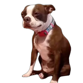 😢 emoji Больше стикеров тут @stickers_memy Telegram sticker 14 of 14