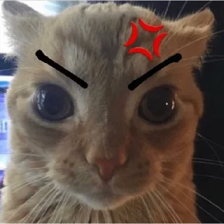 😡 emoji Ух ах Telegram sticker 7 of 120