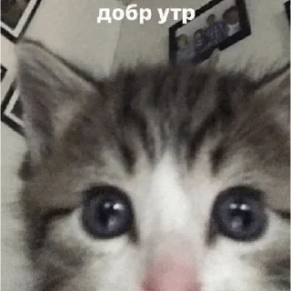 😪 emoji Ух ах Telegram sticker 11 of 120