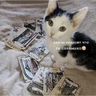 💗 emoji Ух ах Telegram sticker 12 of 120