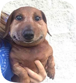 😶 emoji Кокието живатни Telegram sticker 20 of 21
