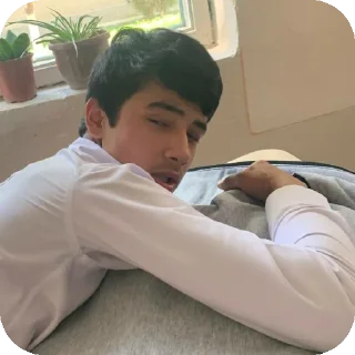 🛋 emoji ХАРОМХУРЛА Telegram sticker 4 of 6