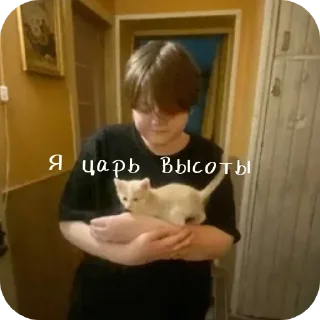 Sticker from Персик (Лео)
