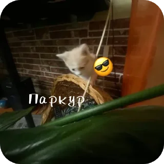 Sticker from Персик (Лео)