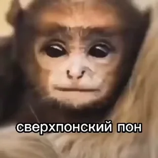🦾 emoji Любимчики КримзонПлэнта Telegram sticker 3 of 120