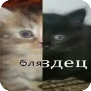 🤬 emoji Любимчики КримзонПлэнта Telegram sticker 5 of 120