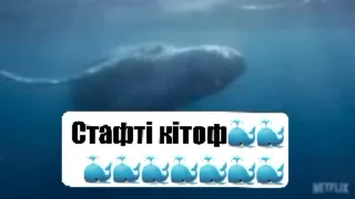 🐳 emoji Любимчики КримзонПлэнта Telegram sticker 20 of 120