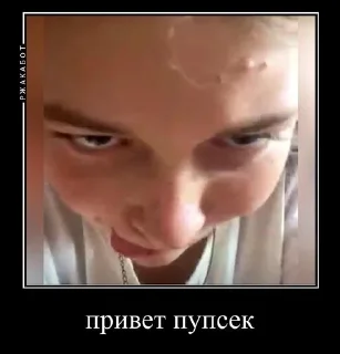 😏 emoji хагги брад Telegram sticker 24 of 38