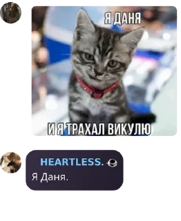 💲 emoji чатик 24/7 pack by @QuotLyBot Telegram sticker 9 of 112