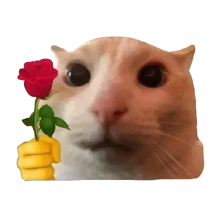 🌹 emoji @FULLSITION <- БОЛЬШЕ Telegram sticker 8 of 109