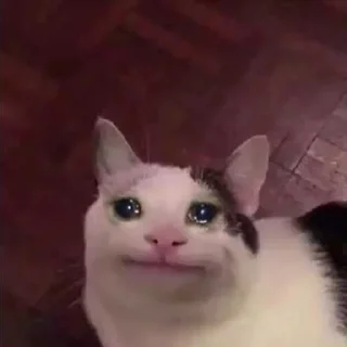 😭 emoji Грустные коты by @SL1Z Telegram sticker 24 of 48