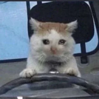 😭 emoji Грустные коты by @SL1Z Telegram sticker 11 of 48