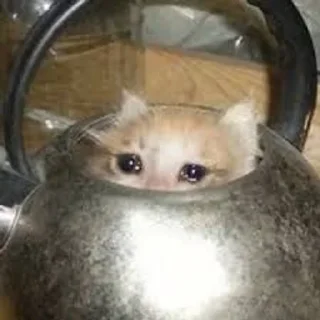 😭 emoji Грустные коты by @SL1Z Telegram sticker 14 of 48