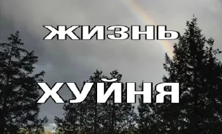 Sticker from няшки