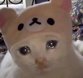 😭 emoji Грустные коты by @SL1Z Telegram sticker 23 of 48
