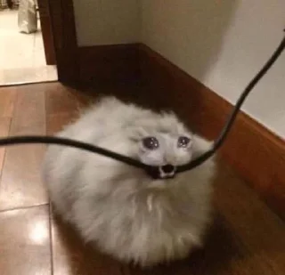😭 emoji Грустные коты by @SL1Z Telegram sticker 7 of 48