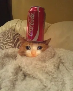 😭 emoji Грустные коты by @SL1Z Telegram sticker 17 of 48